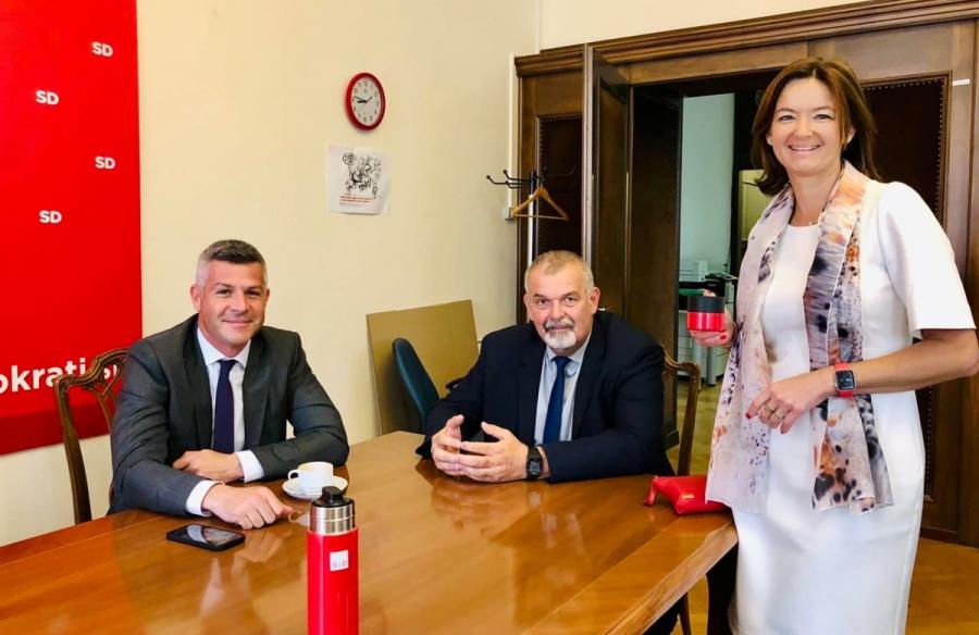 Nemec na skupni seji odborov DZ za zunanje in EU zadeve