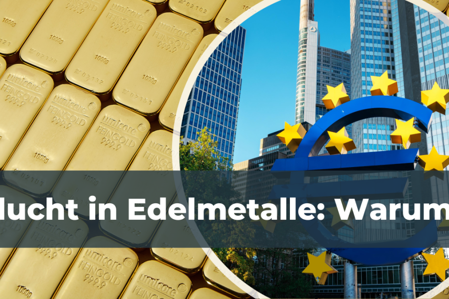 Flucht in Edelmetalle:Warum?