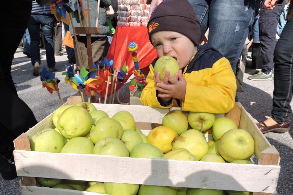 V središču praznika so jabolka, a rdeča nit je tudi domače, lokalno in ekološko. (Foto: arhiv Štajerskega vala)